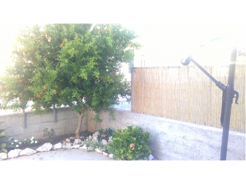 Apartmny Sara i Toni - Bibinje Chorvtsko