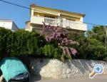 Apartment Katarina apartmaji Hrvaška Blato - Korčula
