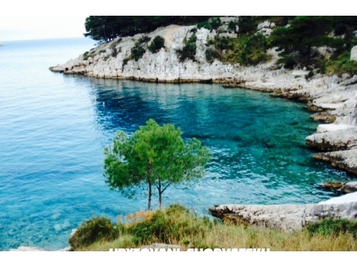 Apartmaji Violeta - Bra Hrvaka