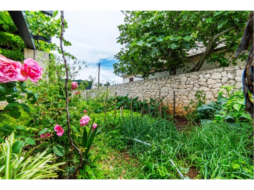 Apartments Villa Vanja - Bra Croatia