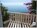 Apartments Joni - Brela Croatia