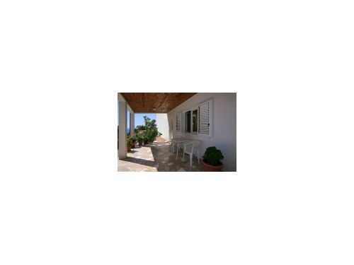 Apartments Vesna  - Brela - Brela Croatia