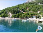 Apartments Vesna  - Brela - Brela Croatia