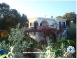 Villa Brela - Brela Hrvatska