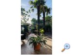 Appartements Klara Crikvenica - Crikvenica Kroatien
