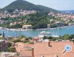 Apartman Antonio Chorvatsko
