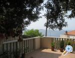 Apartmani Stella