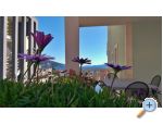 Apartmani NIL Chorvatsko