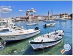 Apartmny Mishel - Faana Chorvatsko