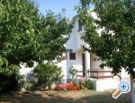 Vacation house - Apartment Milka