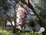 Apartmány Ana smještaj Hrvatska Sv. Filip i Jakov