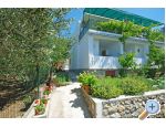 Apartamenty i sobe Maslina - Gradac  Podaca Chorwacja