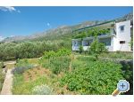 Apartamenty i sobe Maslina - Gradac  Podaca Chorwacja