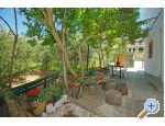 Apartamenty i sobe Maslina - Gradac  Podaca Chorwacja