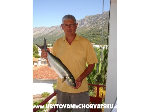 Apartmny Lasic - Gradac  Podaca Chorvtsko