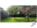 Apartmn Toth - Gradac  Podaca Chorvtsko
