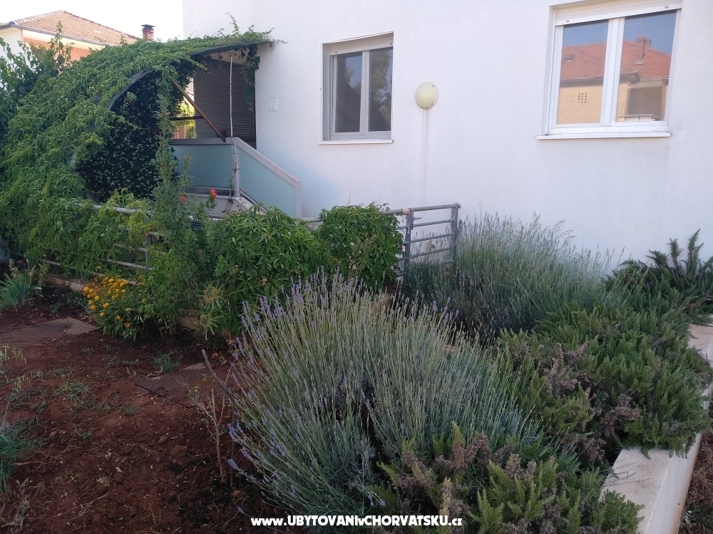 Apartma Paiz - ostrov Hvar Hrvaka