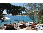 Apartma Paiz - ostrov Hvar Hrvaka