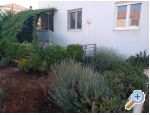 Apartma Paiz - ostrov Hvar Hrvaka