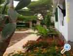 Apartmány Antica - ostrov Hvar Chorvatsko