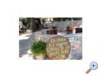 Apartmani LAVANDA - ostrov Hvar Hrvatska