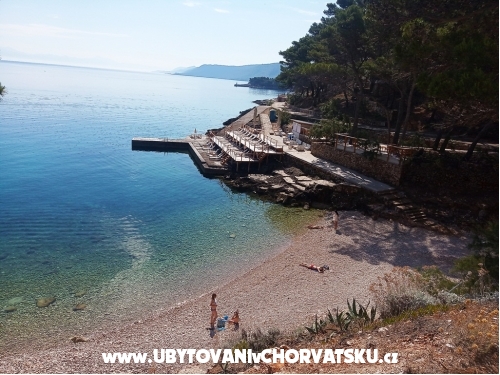 ApartmajiNikolinaGrgicevic - ostrov Hvar Hrvaka