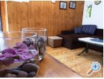 ApartmajiNikolinaGrgicevic - ostrov Hvar Hrvaka