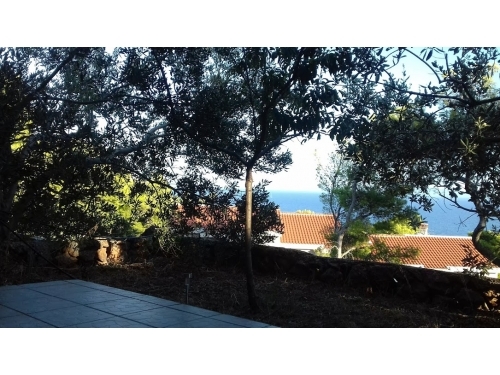 Tigrich apartmani - ostrov Hvar Horvtorszg