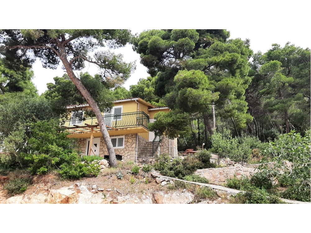 Tigrich apartmani - ostrov Hvar Horvtorszg