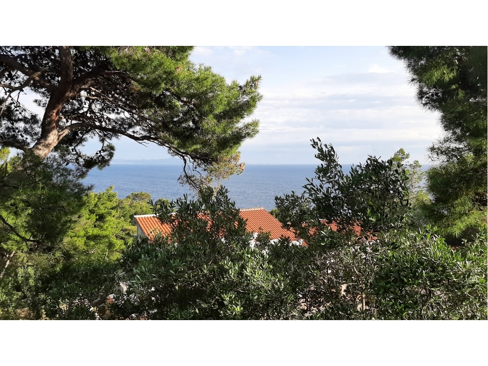 Tigrich apartmani - ostrov Hvar Horvtorszg