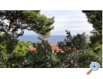 Tigrich apartmani - ostrov Hvar Chorvatsko