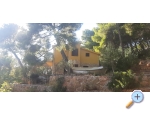 Tigrich apartmani - ostrov Hvar Chorvatsko