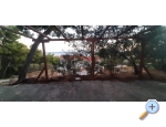 Tigrich apartmani - ostrov Hvar Chorvatsko
