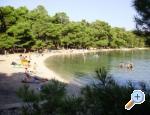 Villa Welcome ostrov Hvar