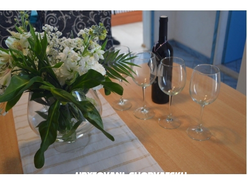 Apartmaji Renata - Igrane Hrvaka