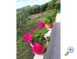 Gardenia House - Drace &amp;amp; Trstenik Croatia