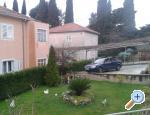 Apartmani �arko Chorvatsko