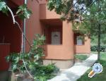 Apartments Zvonko