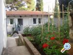 Apartman Anci