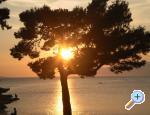 Apartman Pavlinovic 5+1 Makarska 