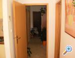 Apartman Viskoviæ