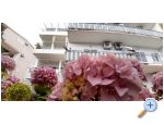 Apartments Antunovi - Makarska Croatia