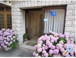 Villa Olga - Makarska Croatia