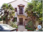 Apartments Anita Chorvatsko
