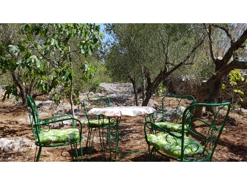 Apartmani Carevi dvori - Murter Hrvatska