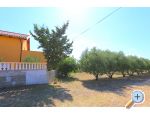 Apartmn Mirabel - Nin Chorvatsko