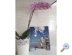 Apartmanok Mirjana - Nin Horvtorszg
