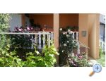 Apartmny Paola - Nin Chorvatsko