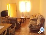 Apartments Dalmatino