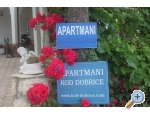 Kod Dobrice - Novalja  Pag Kroatien